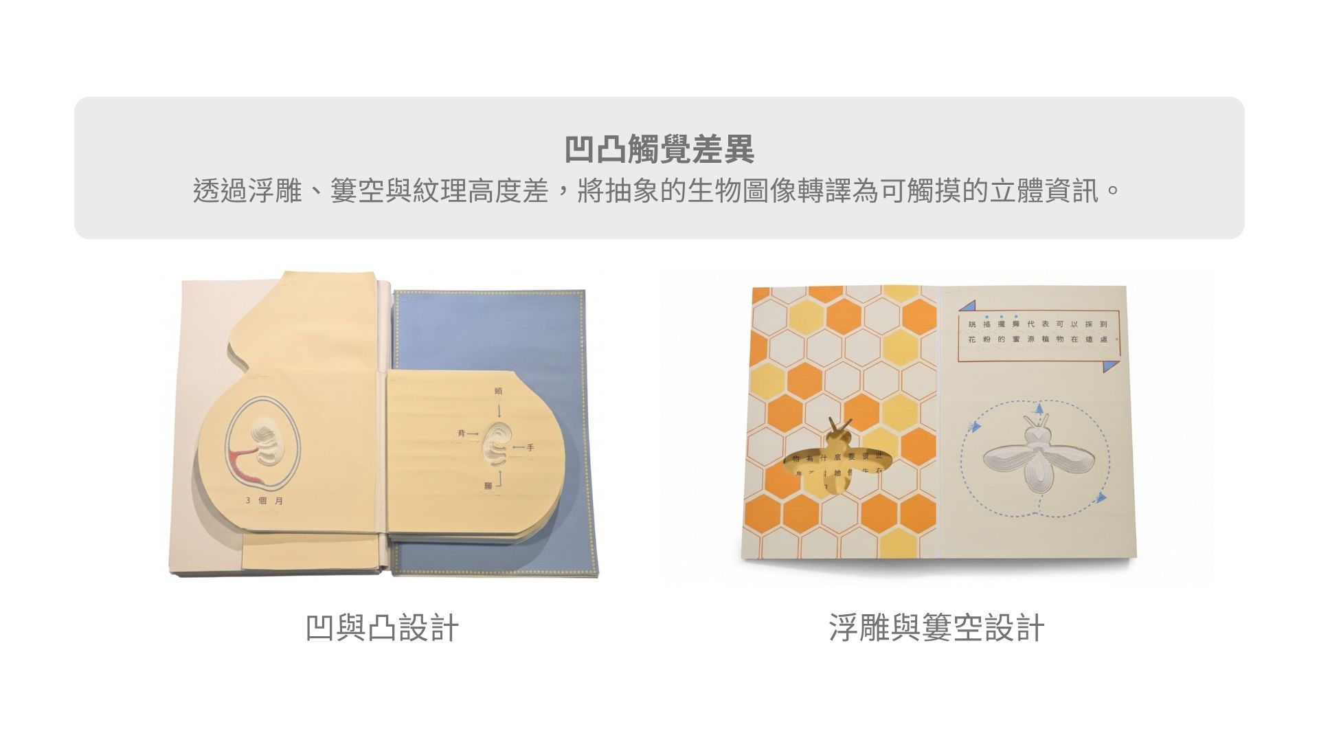 異然物—視障學童自然科學教具