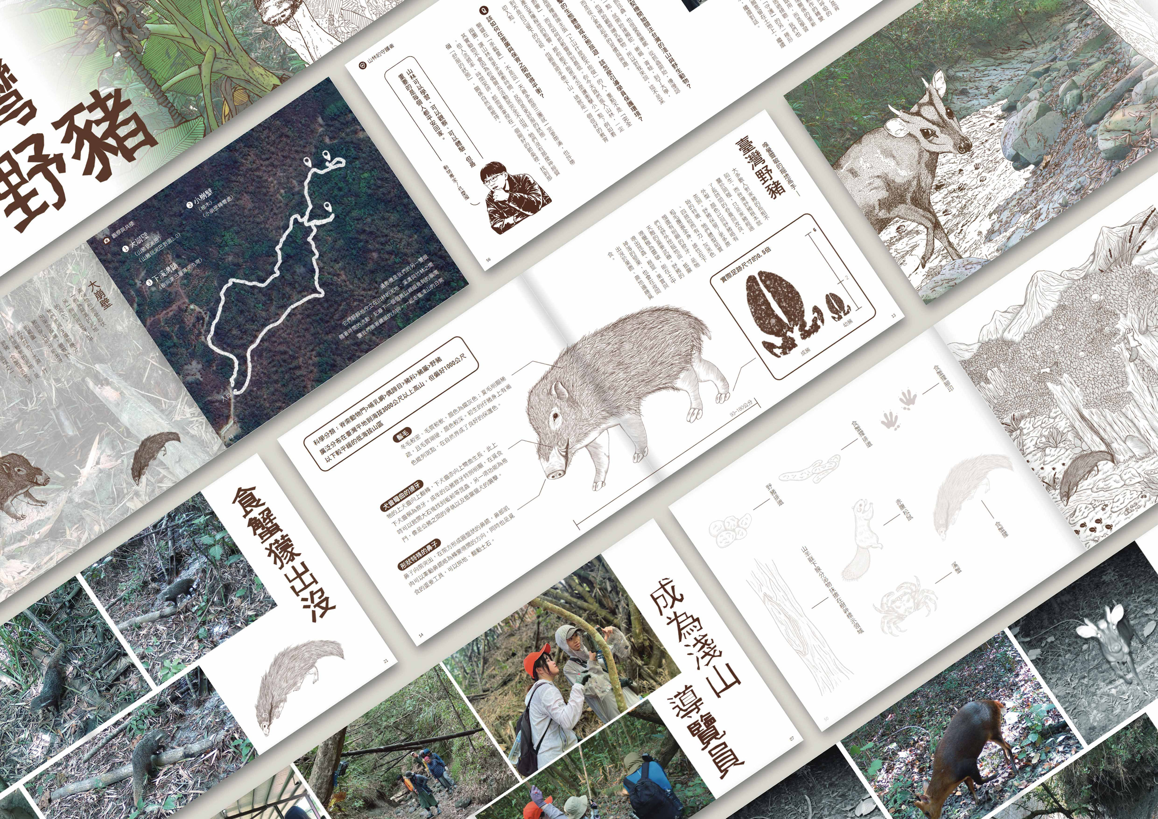 淺山覓跡