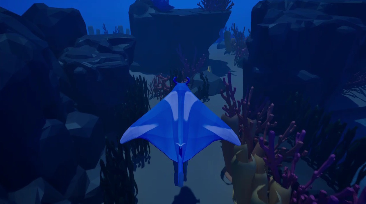 海洋之光