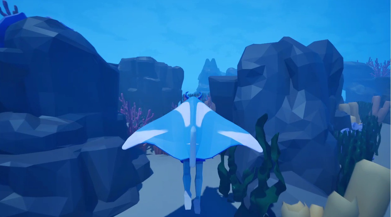 海洋之光