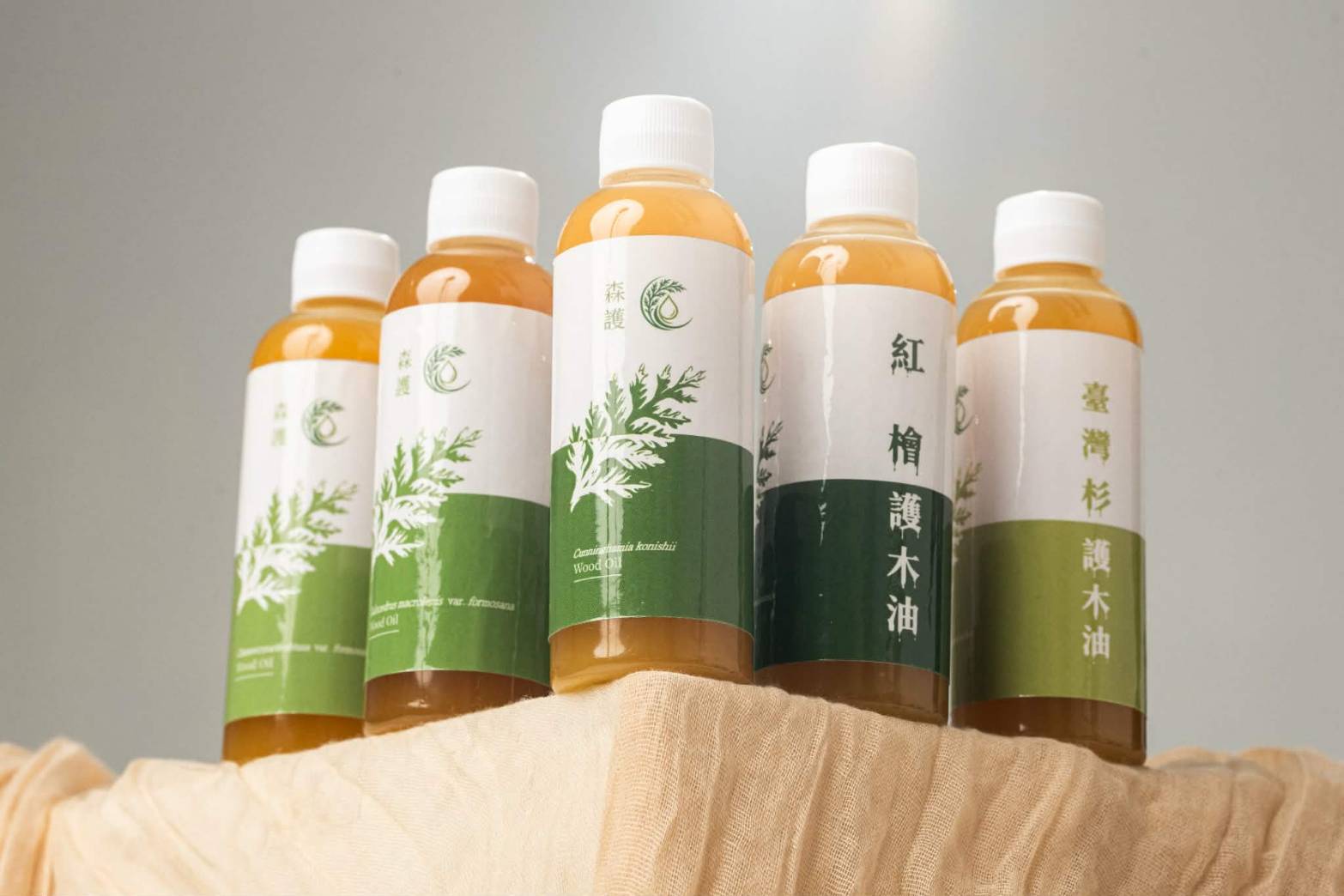 森護