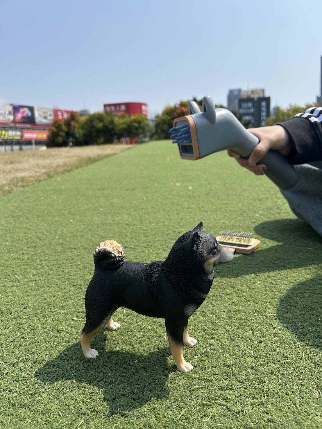 毛寶潔