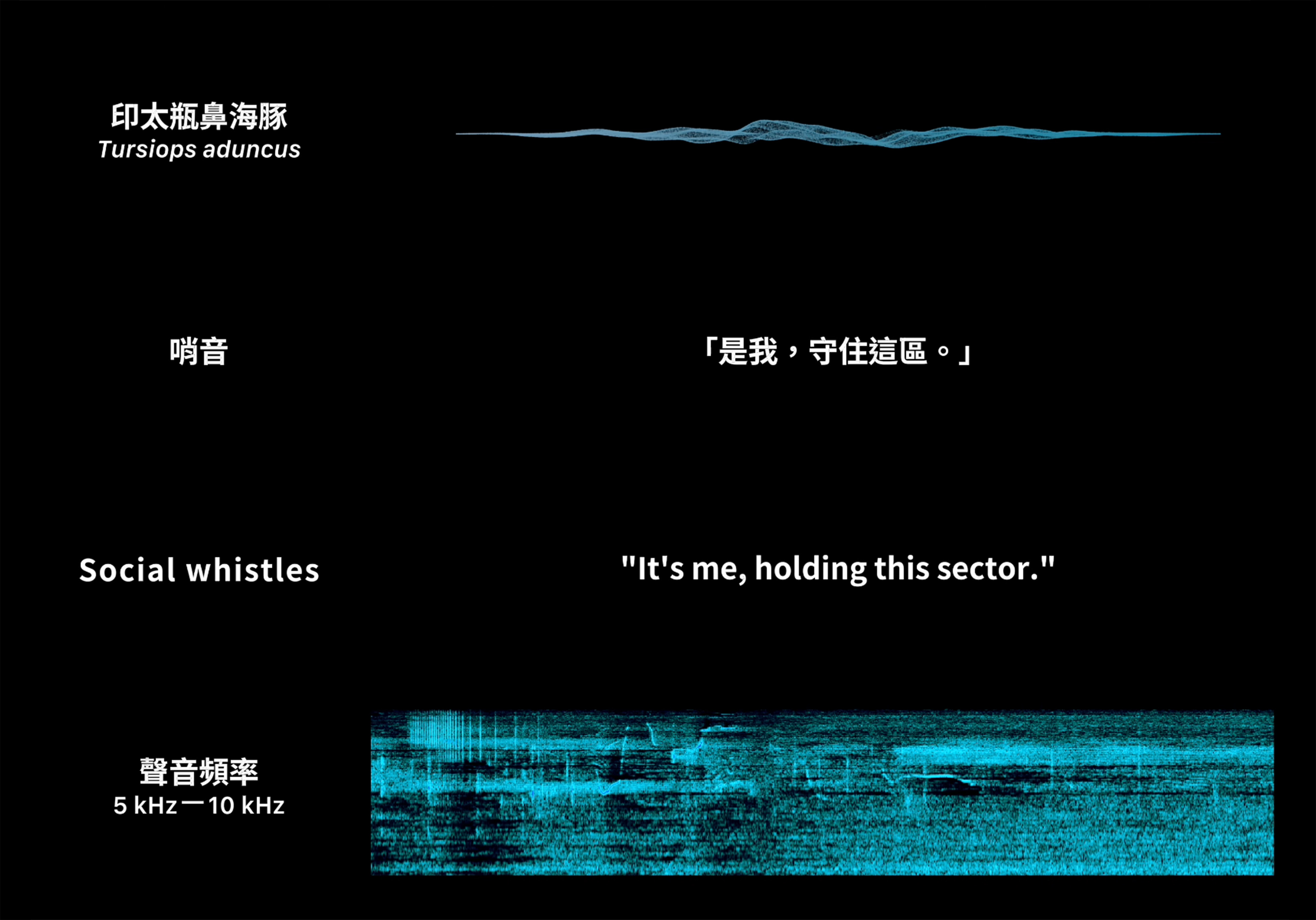 迴波錄_轉譯對白