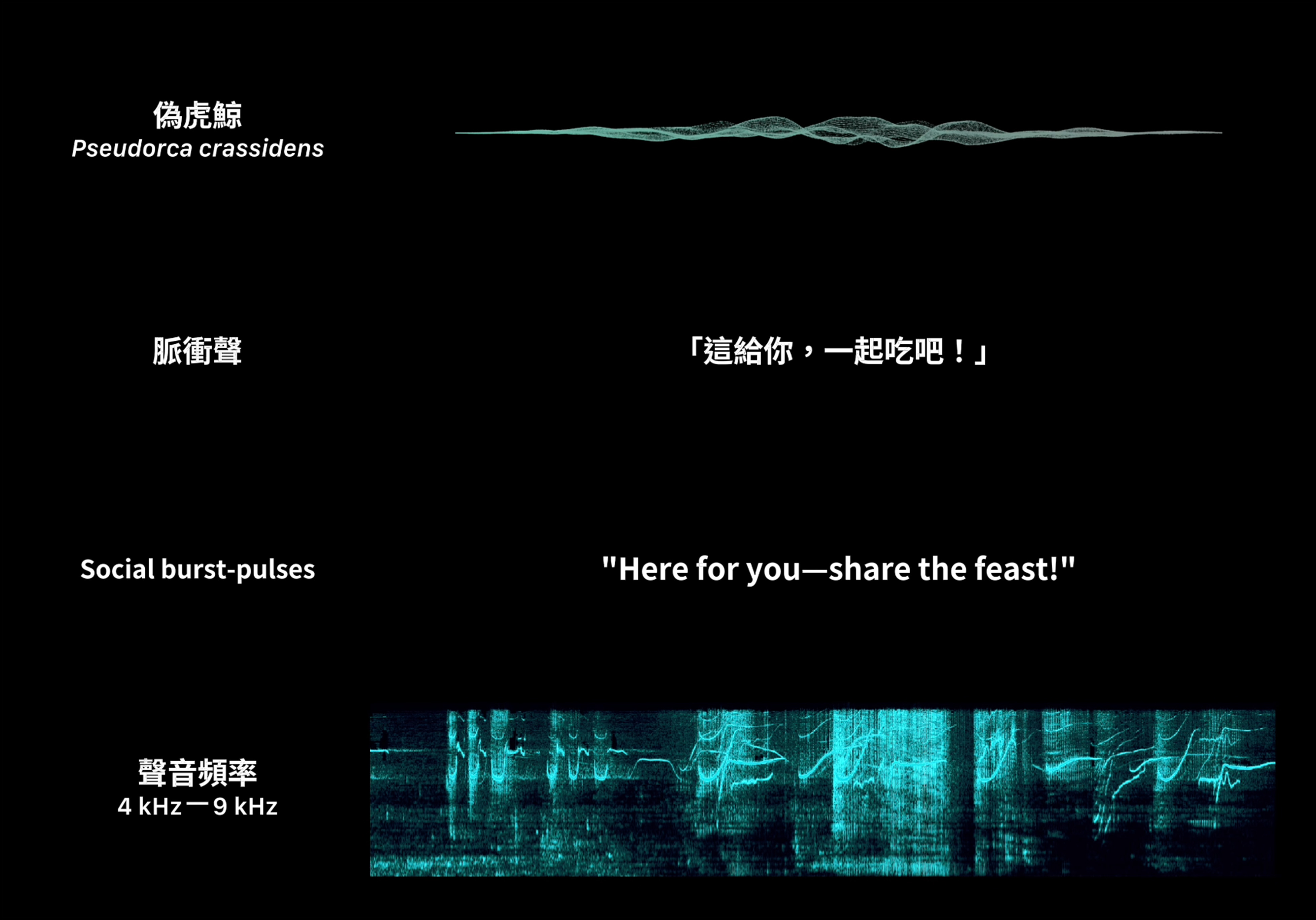 迴波錄_轉譯對白