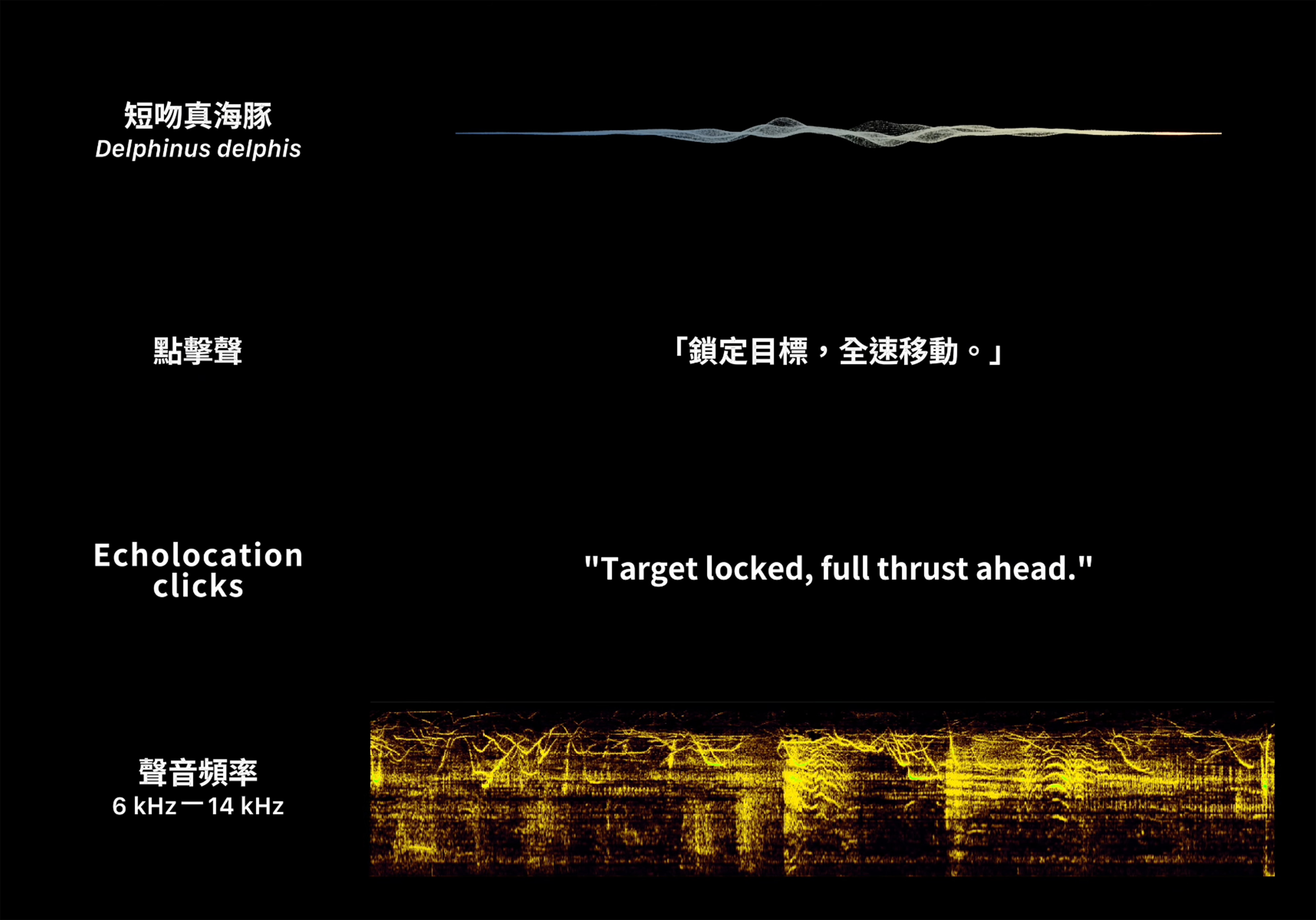 迴波錄_轉譯對白