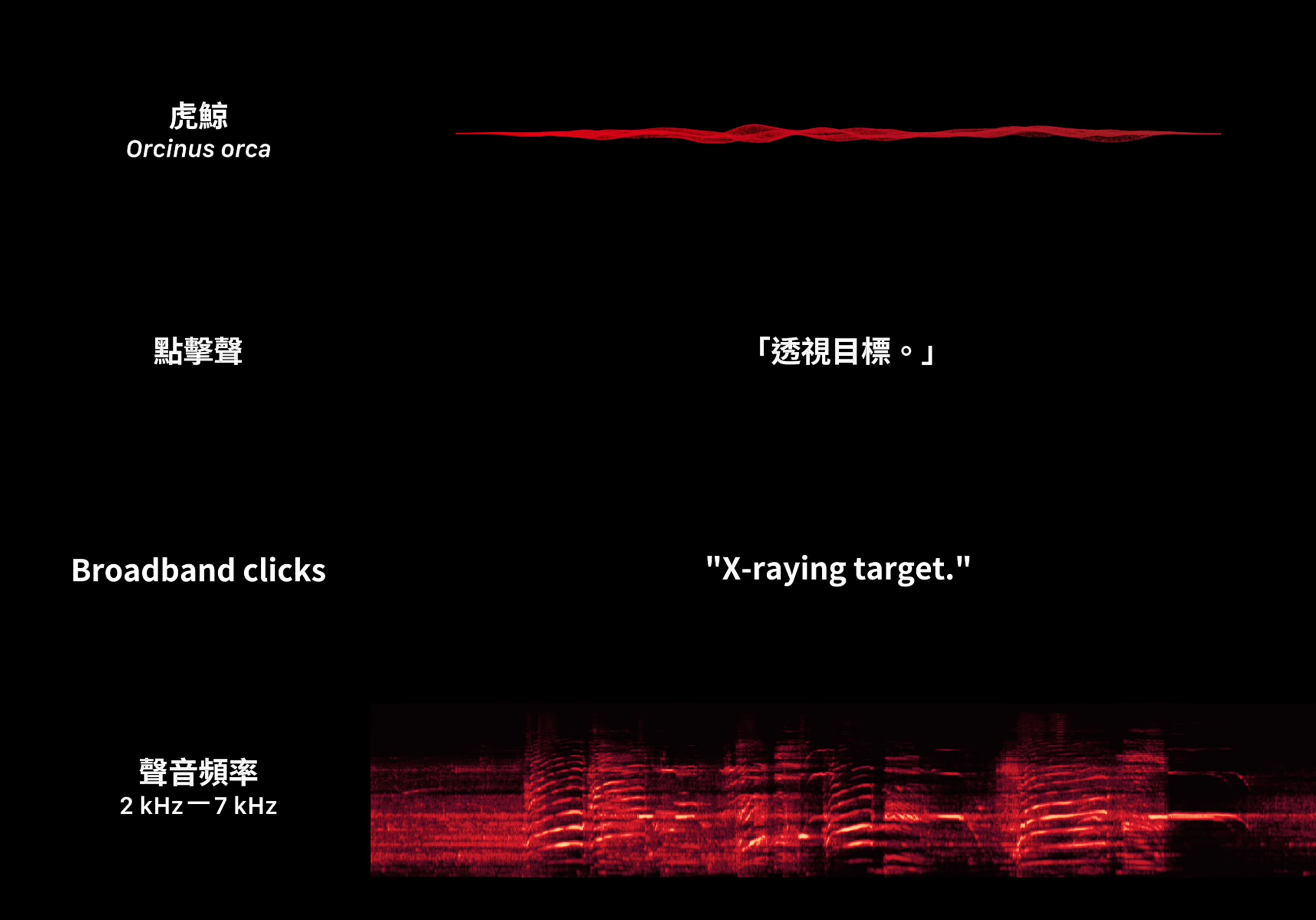 迴波錄_轉譯對白