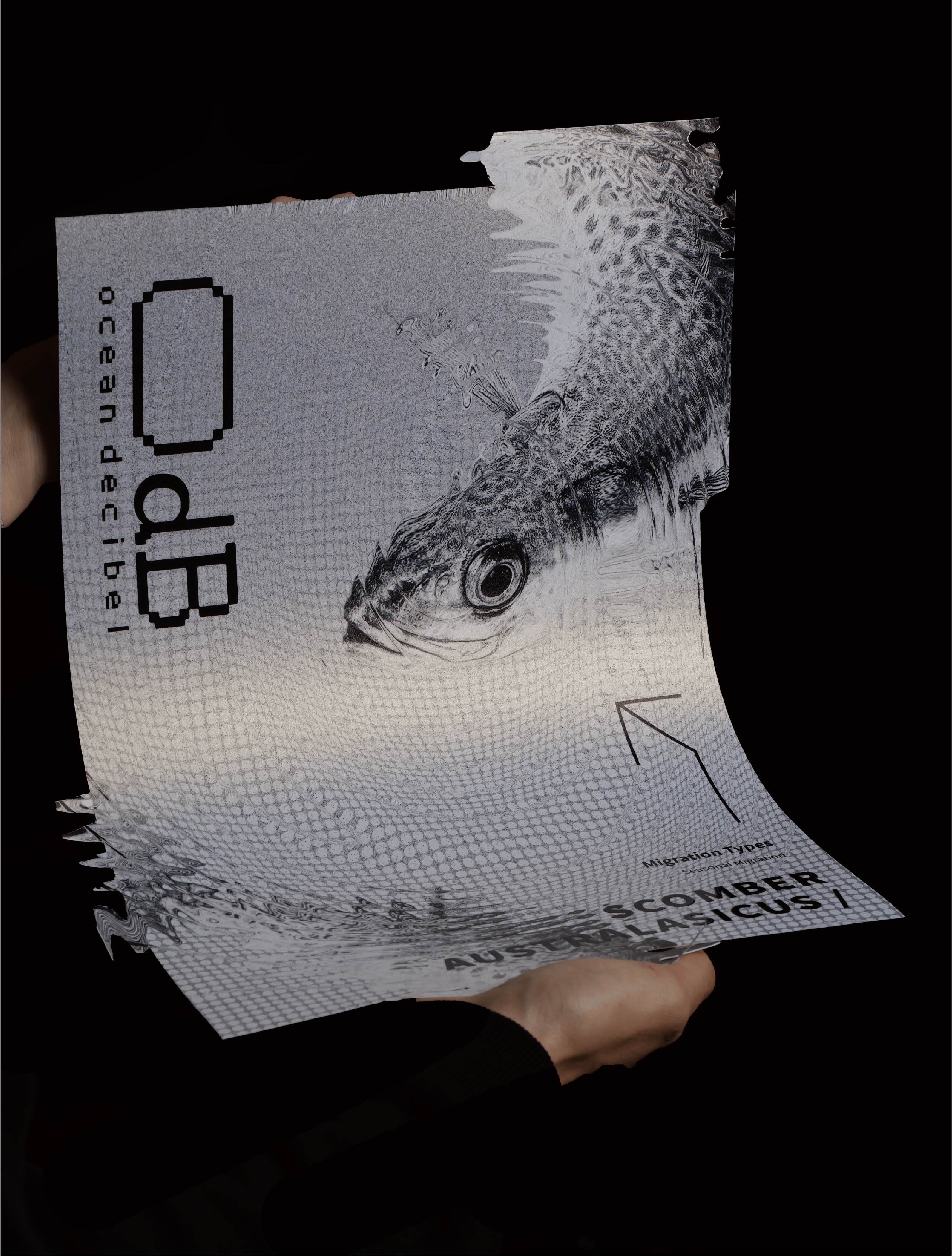 OdB