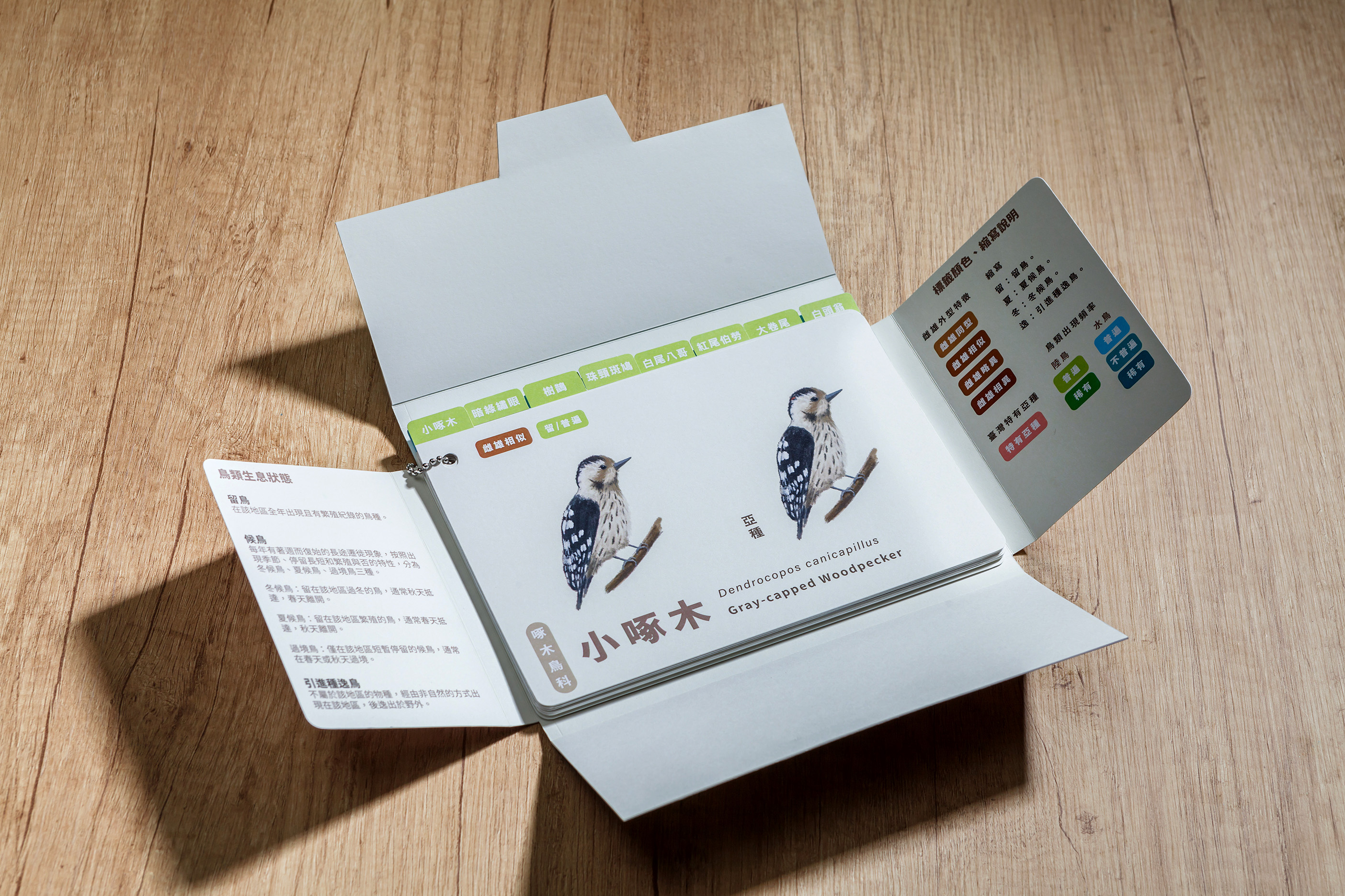 鳥之都