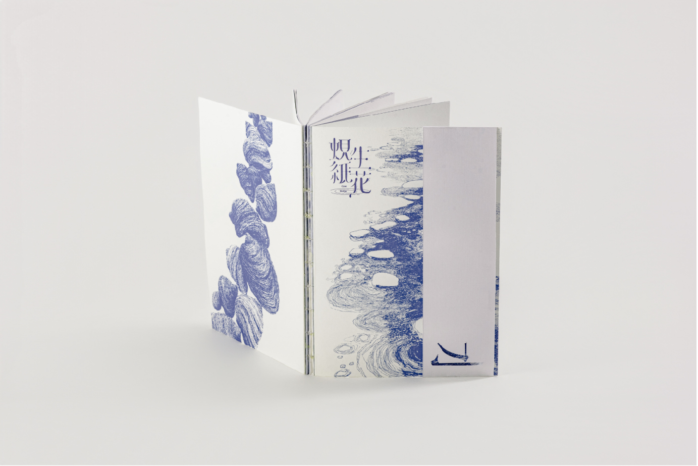 蜆紙生花