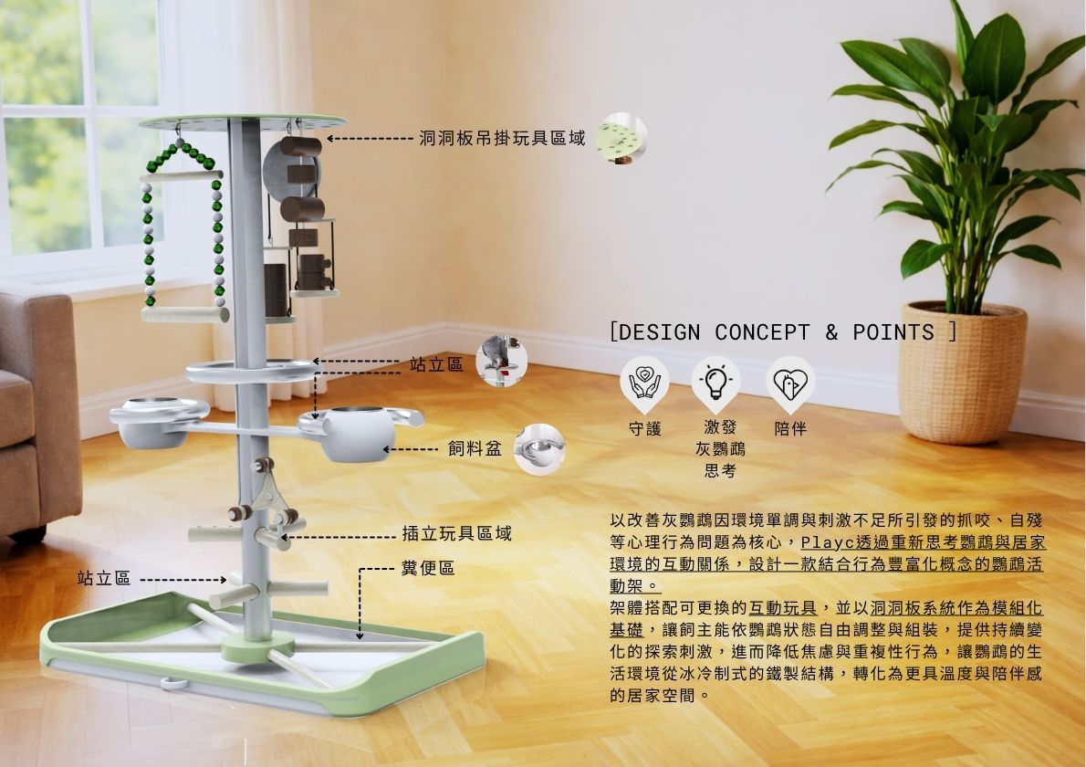 灰鸚鵡站立架