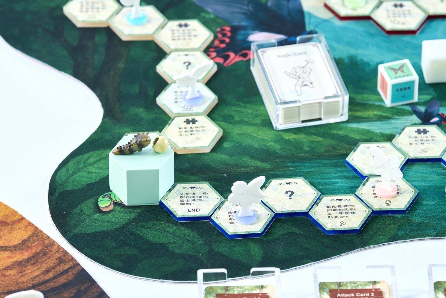 生物知識大進擊