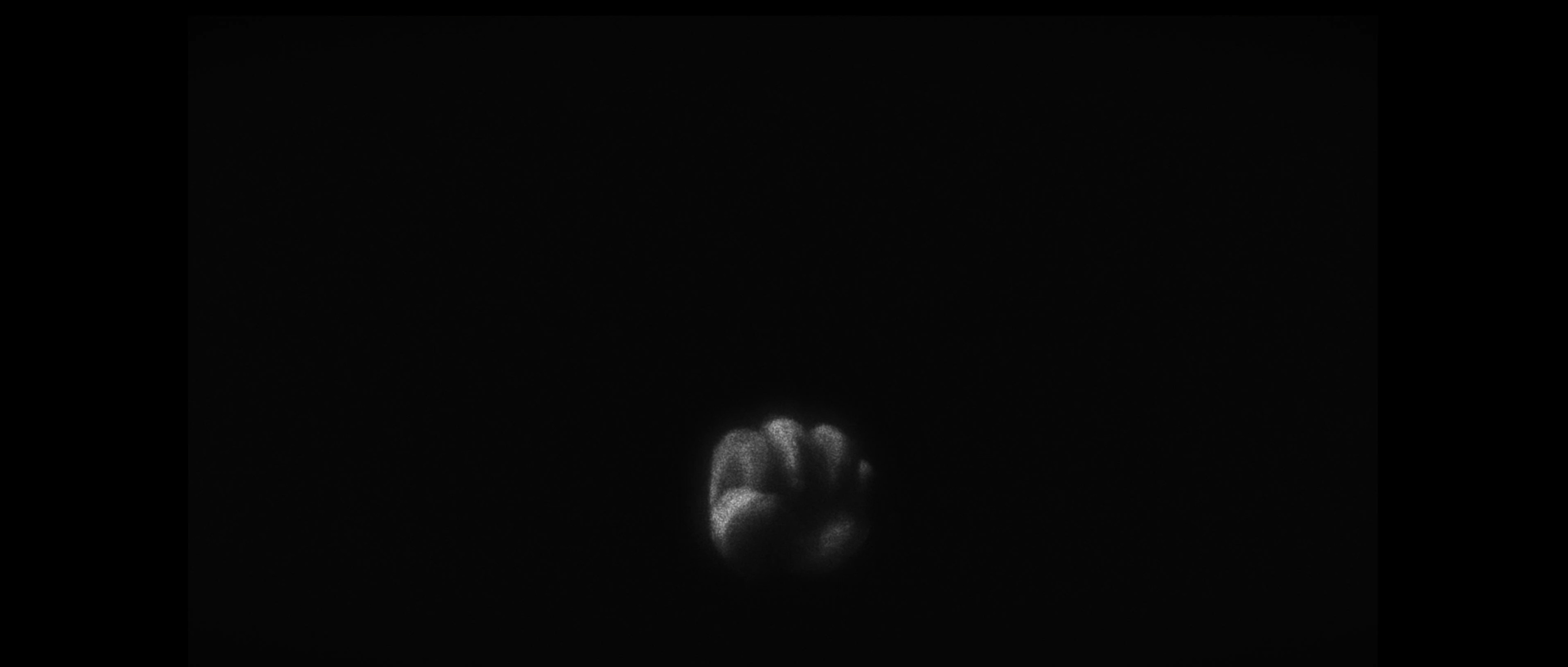 掌握