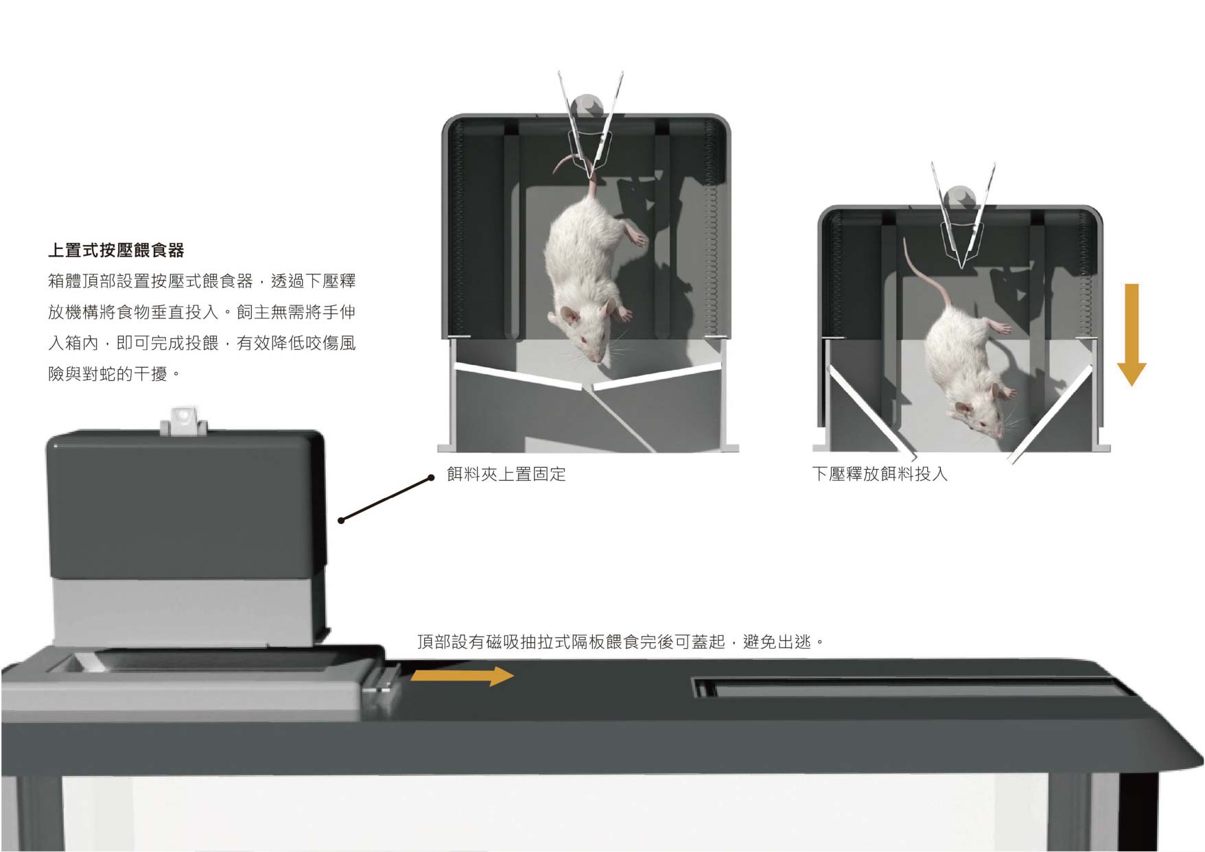 大型蟒蛇底干擾飼養系統