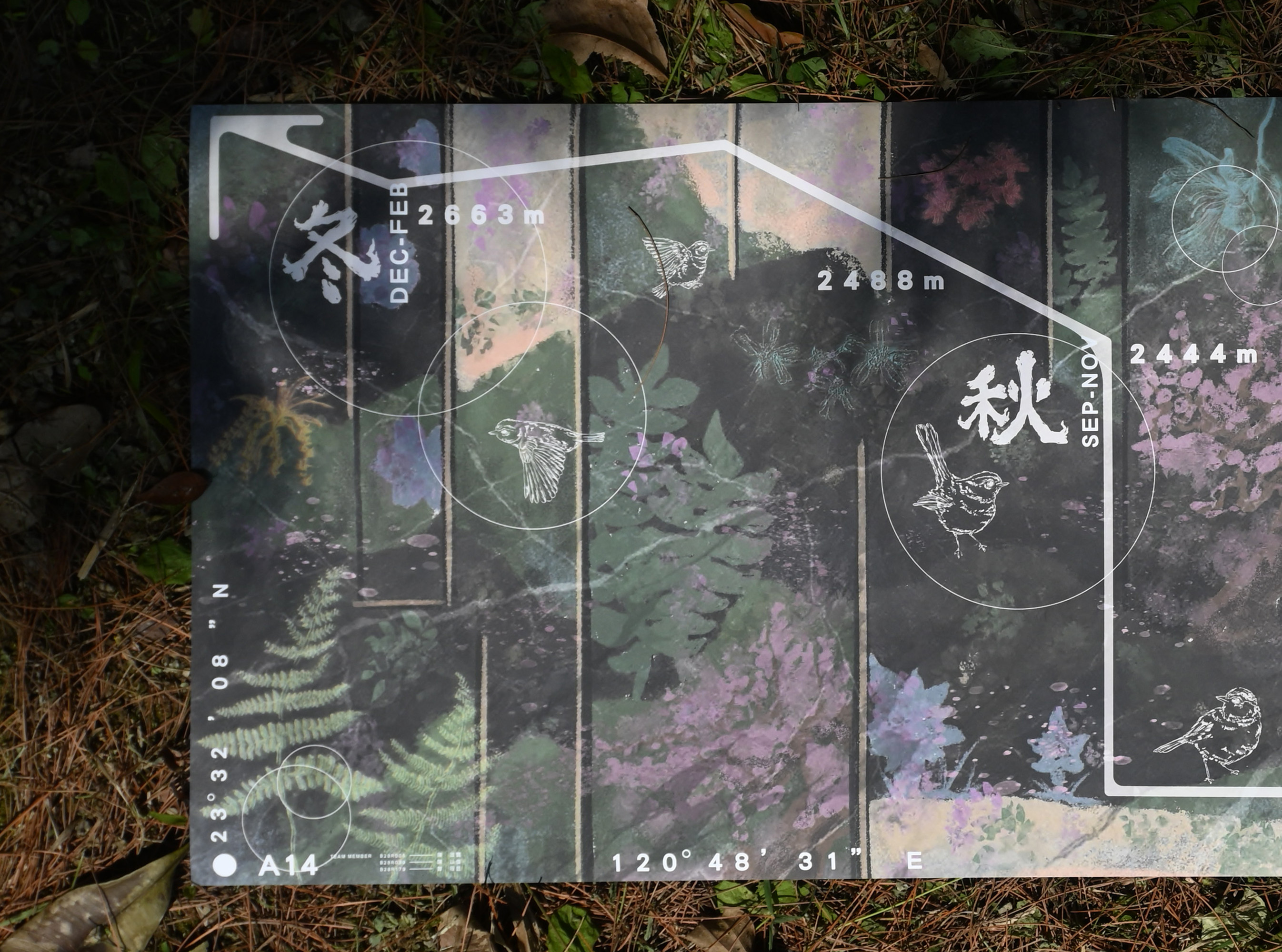 草木印記