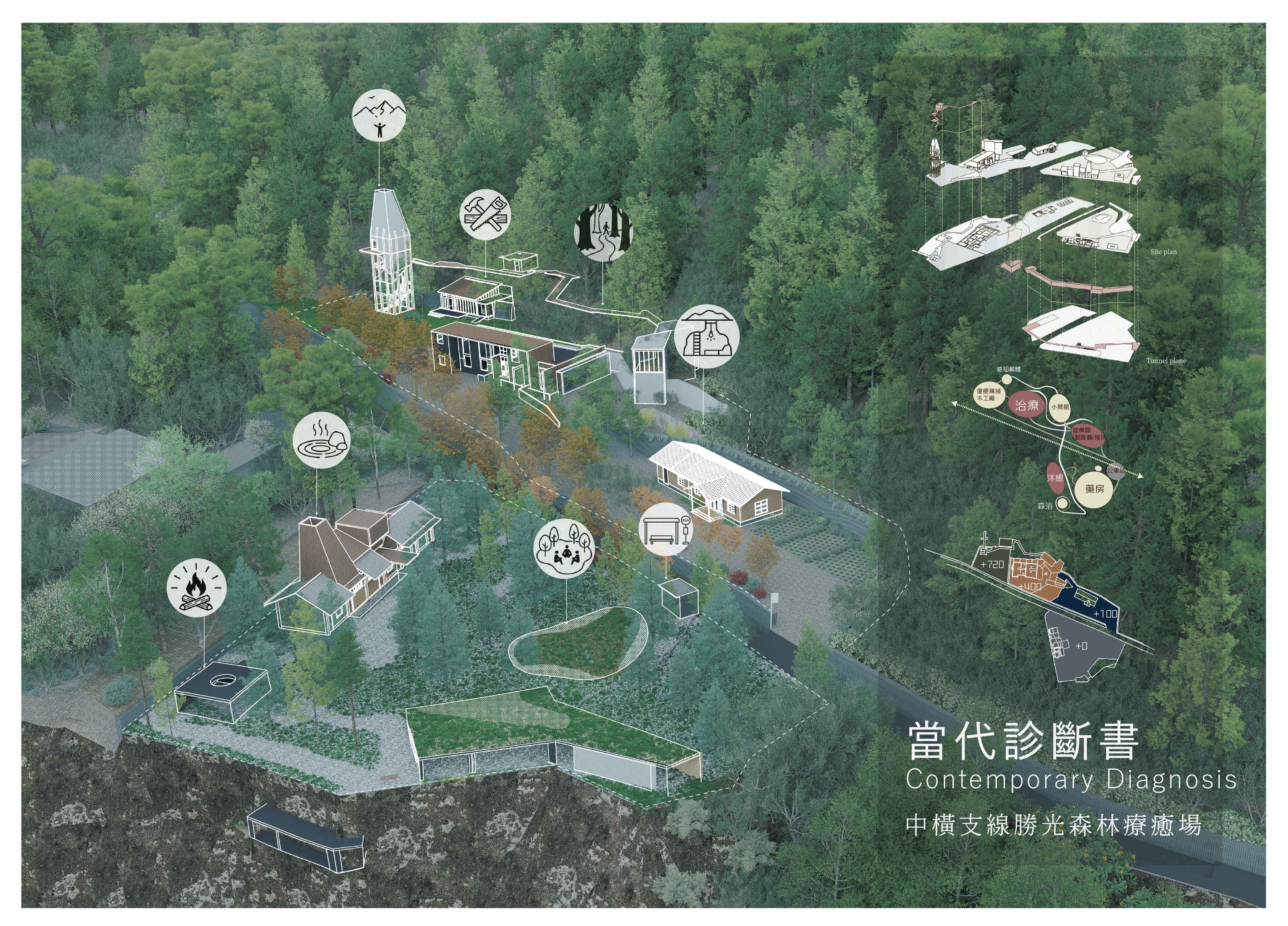 當代診斷書-中橫支線勝光森林療癒場