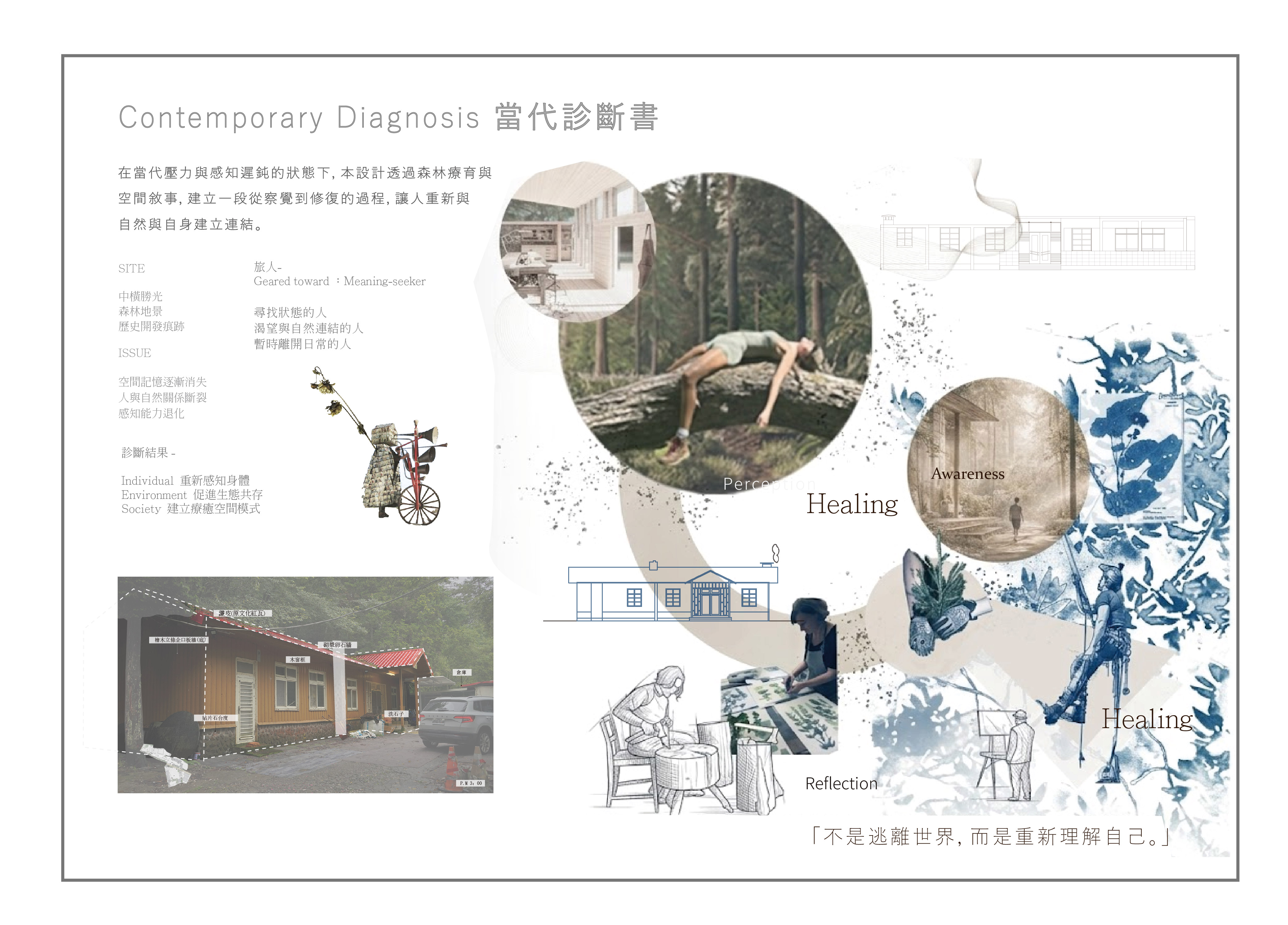 當代診斷書-中橫支線勝光森林療癒場